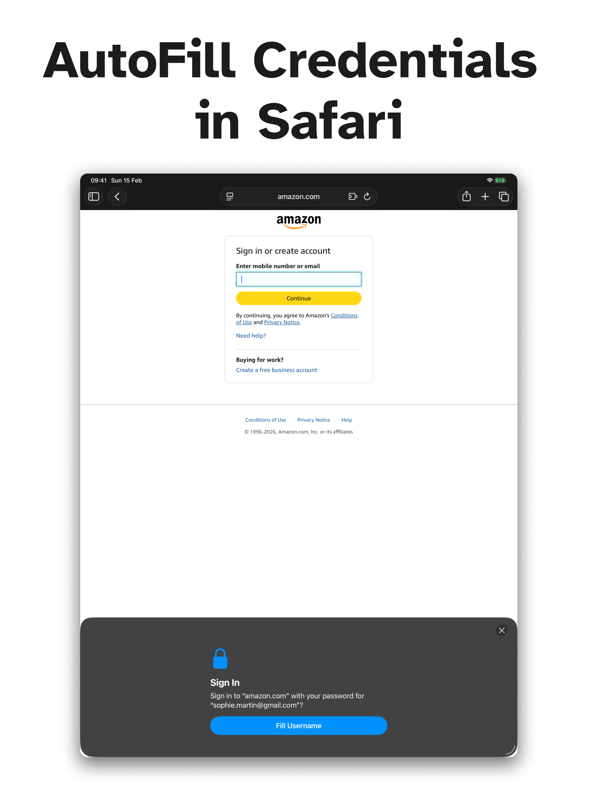 PanicVault on iPad - AutoFill Credentials in Safari