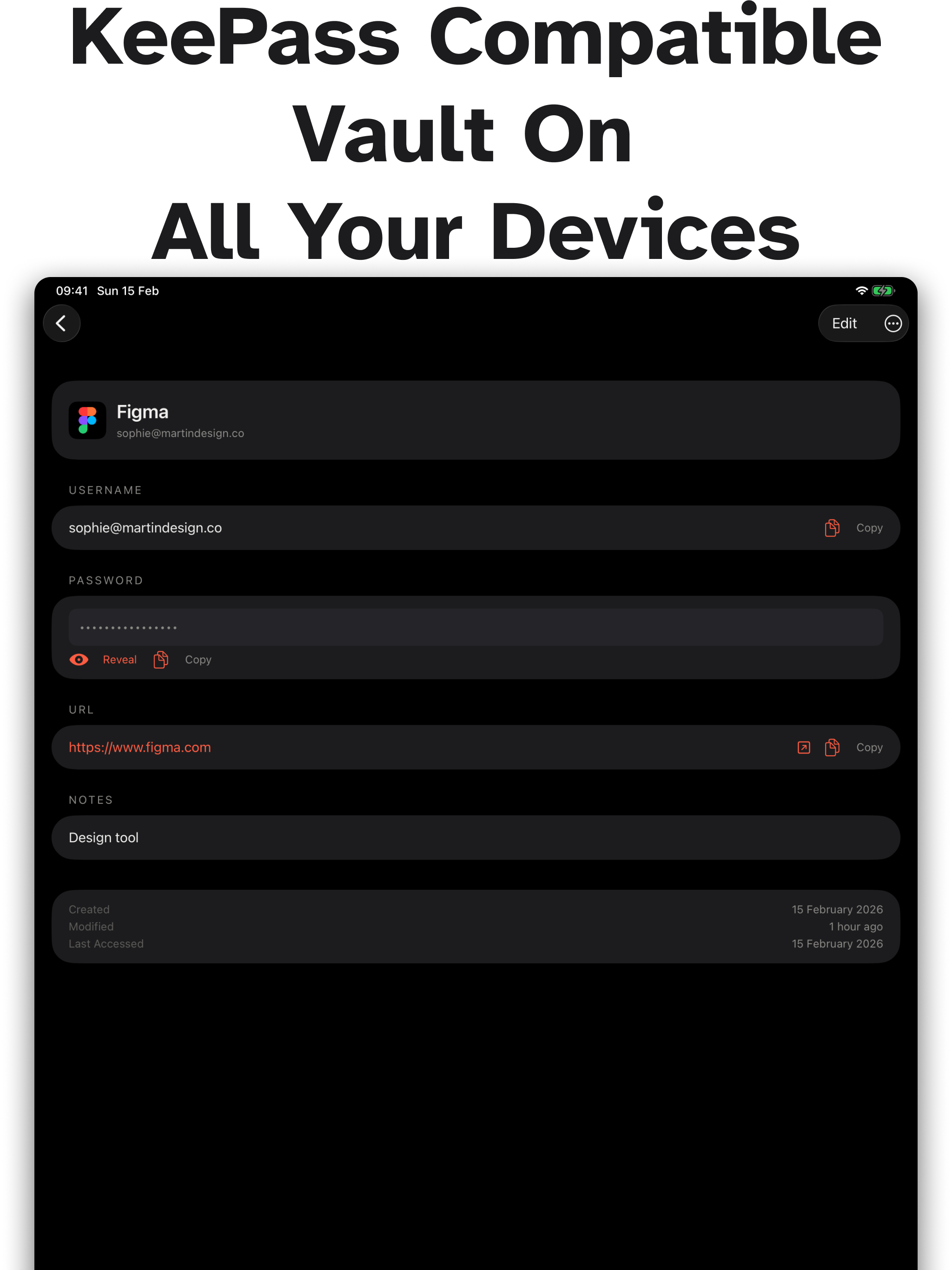 PanicVault on iPad - KeePass Compatible Vault