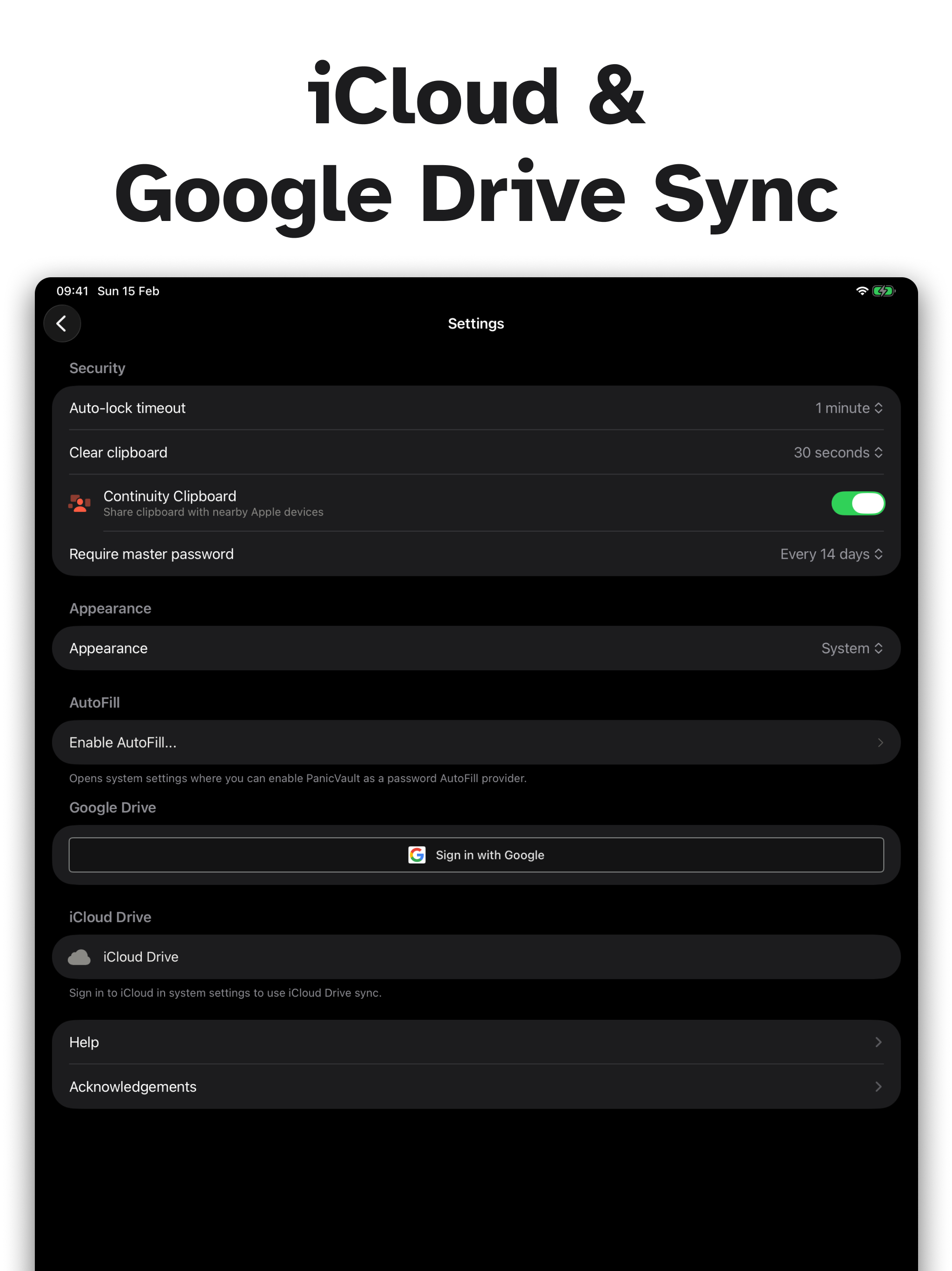PanicVault on iPad - iCloud & Google Drive Sync